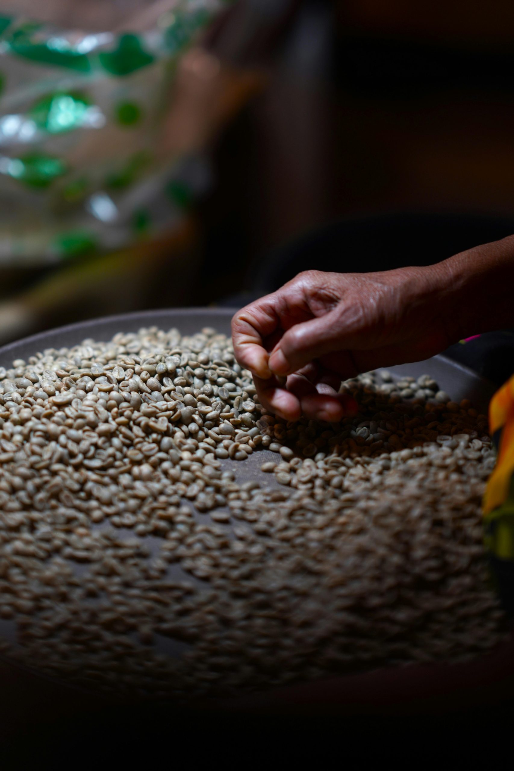 Export Quality Green Coffee Beans from Java | Indo Java Beans Export quality Indonesian green coffee beans from the heart of Java | Indo Java Beans