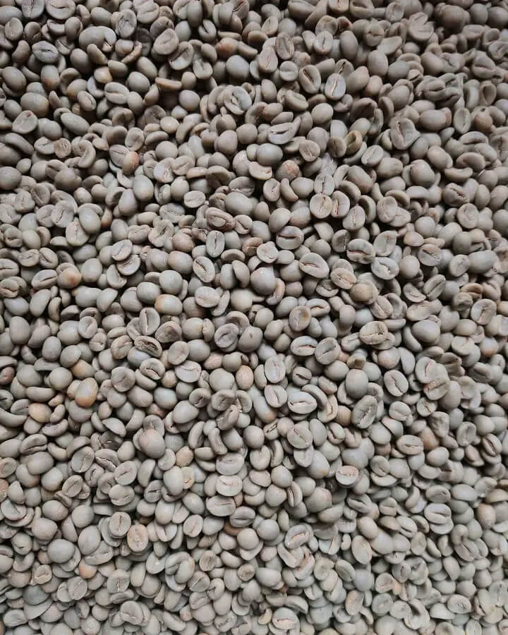 Arabica Green Coffee Beans from Temanggung, Central Java - Indo Java Beans