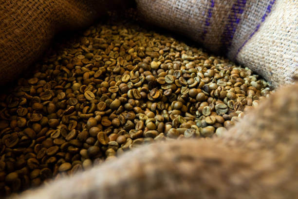 Sacks of green coffee beans stacked for sorting and export