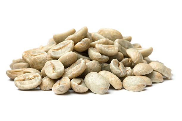 Indonesian farmers harvesting Arabica and Robusta green coffee beans in Central Java - Indo Java Beans