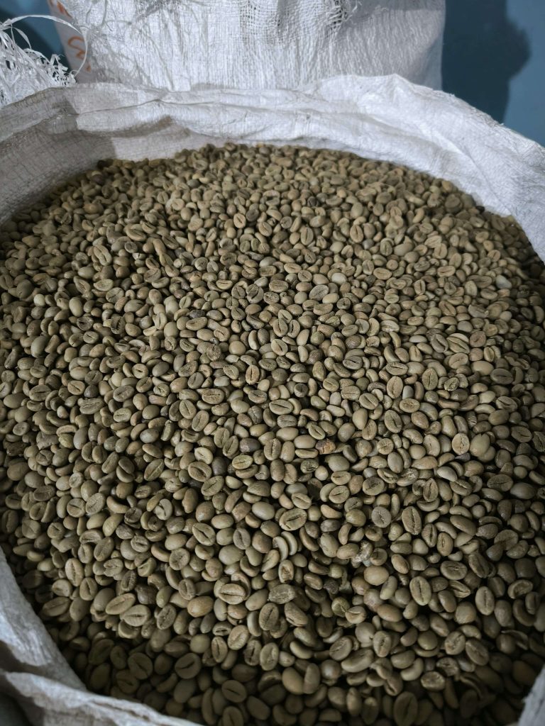 Robusta Green Coffee Beans from Temanggung, Central Java - Indo Java Beans