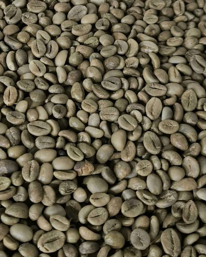 Robusta Green Coffee Beans from Temanggung, Central Java - Indo Java Beans