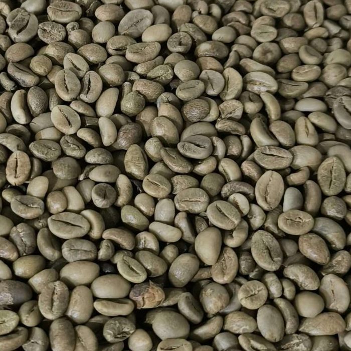 Robusta Green Coffee Beans from Temanggung, Central Java - Indo Java Beans