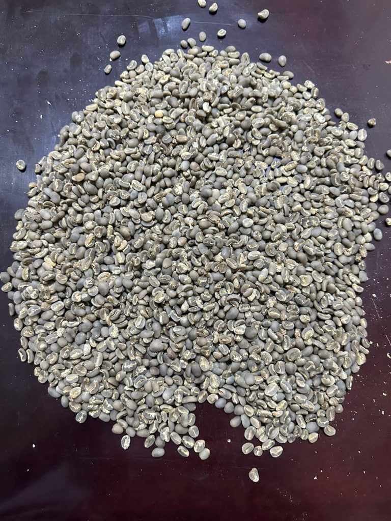Arabica Temanggung Green coffee Beans - Indo Java Beans
